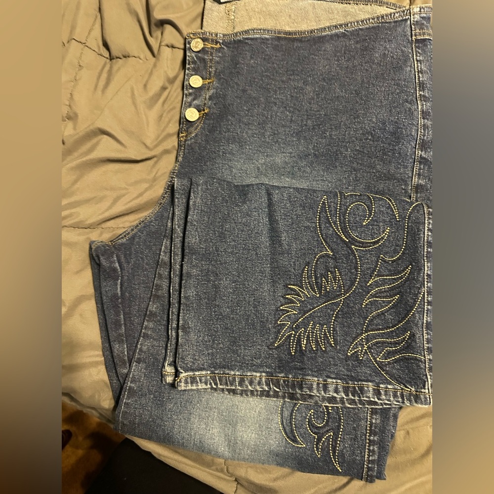 Z Cavaricci Plus Size Jeans 24W - Retro Flare Legged No Zipper Denim with Design
